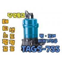테티스 TAGS-755 [1마력/단상펌프/샌드펌프]