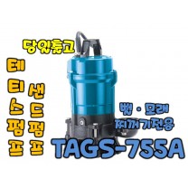 테티스 TAGS-755A [1마력/단상펌프/샌드펌프/자동]